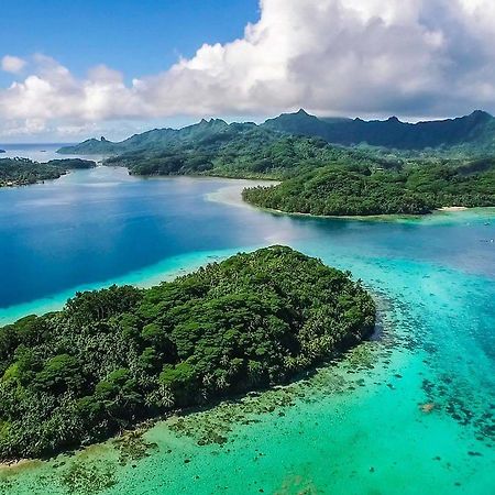 B & Bee Wild Island - Nature Song Fare Ngoại thất bức ảnh